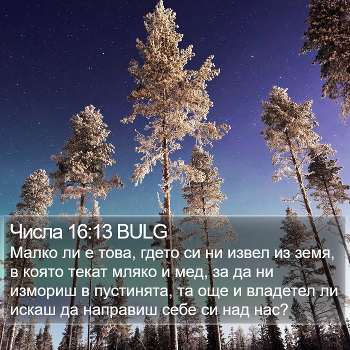 Числа 16:13 BULG Bible Study