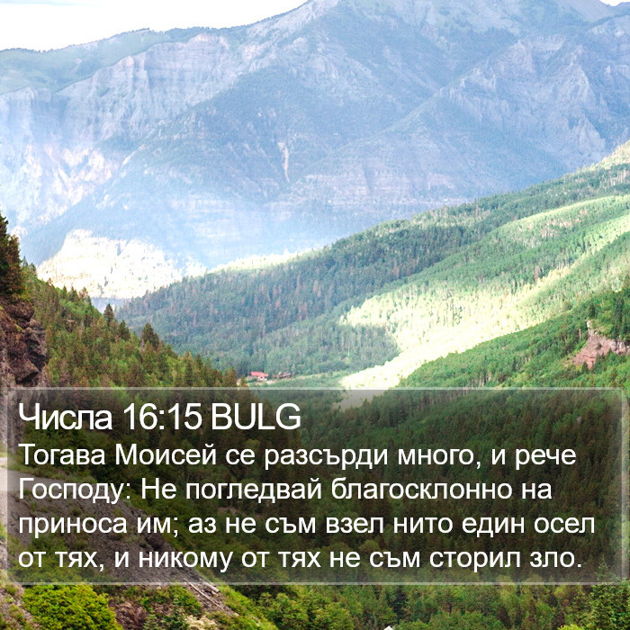 Числа 16:15 BULG Bible Study