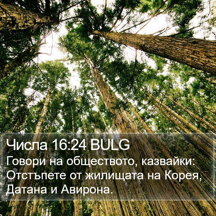 Числа 16:24 BULG Bible Study