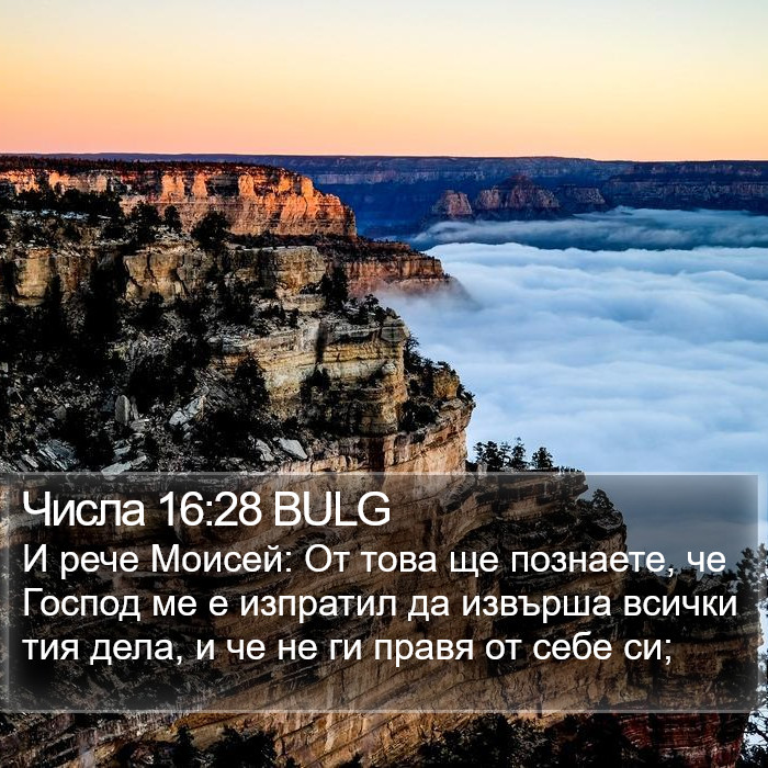 Числа 16:28 BULG Bible Study