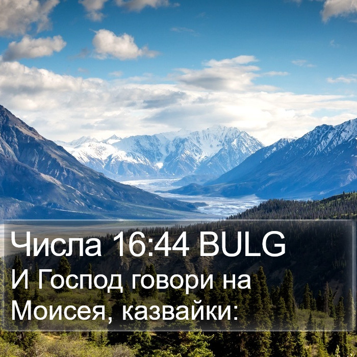 Числа 16:44 BULG Bible Study