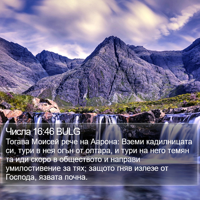 Числа 16:46 BULG Bible Study