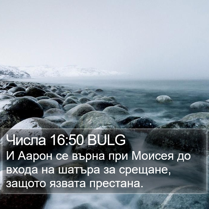 Числа 16:50 BULG Bible Study