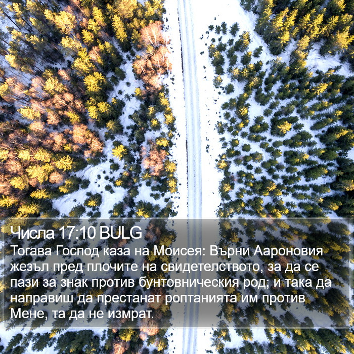 Числа 17:10 BULG Bible Study
