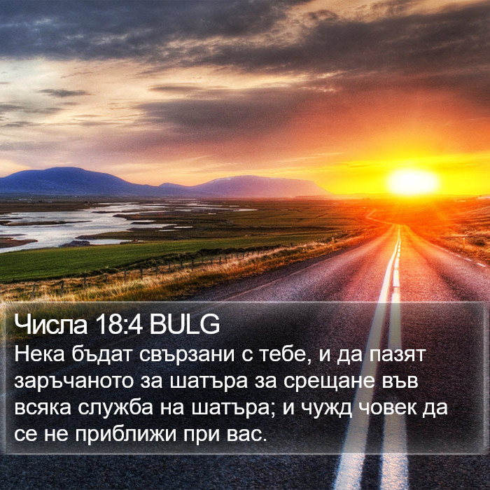 Числа 18:4 BULG Bible Study