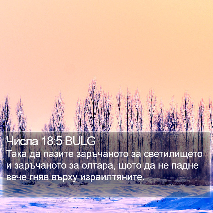 Числа 18:5 BULG Bible Study