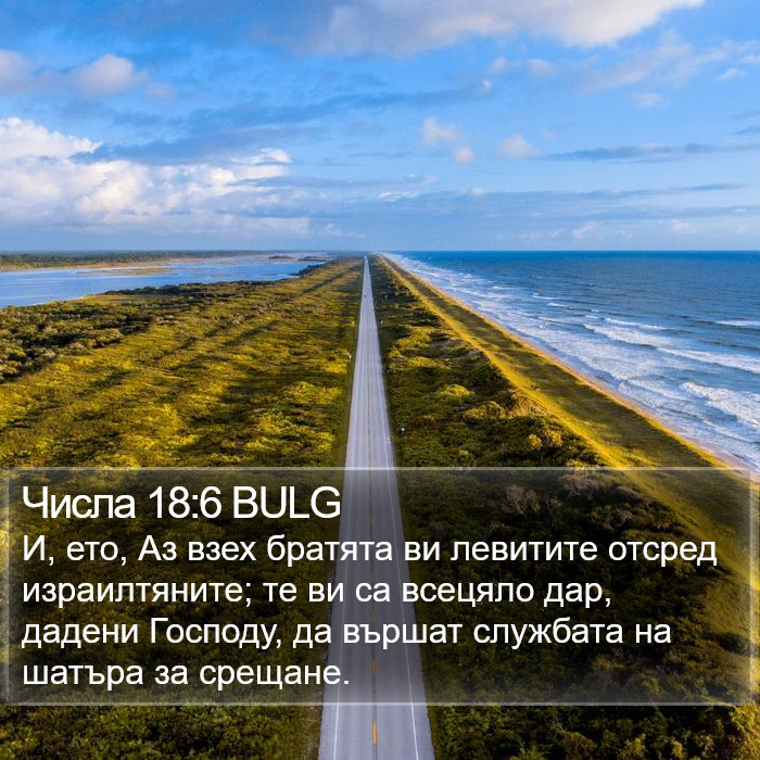 Числа 18:6 BULG Bible Study