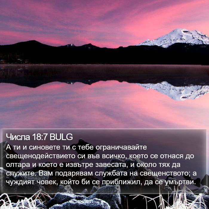 Числа 18:7 BULG Bible Study