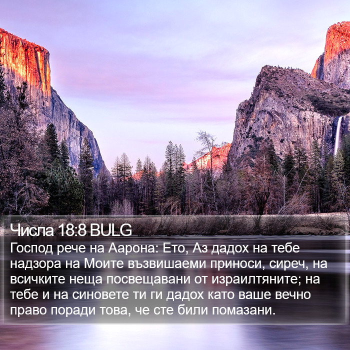 Числа 18:8 BULG Bible Study