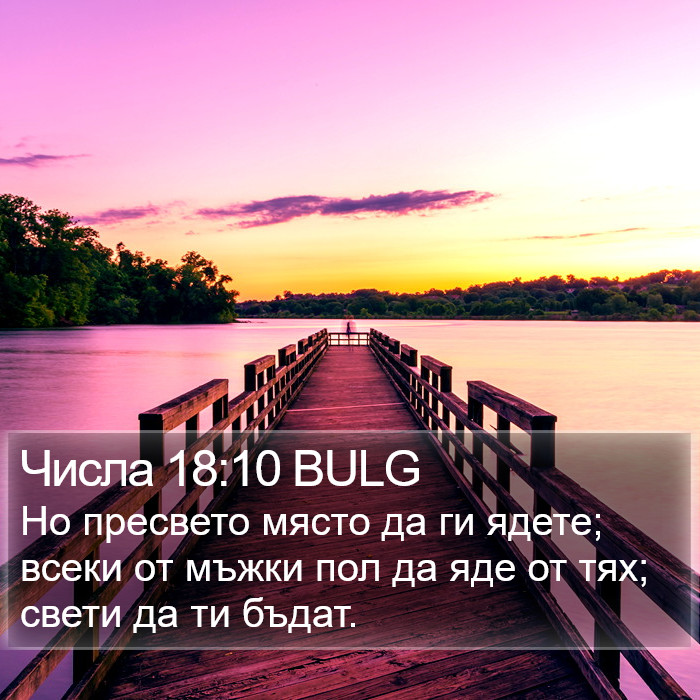 Числа 18:10 BULG Bible Study