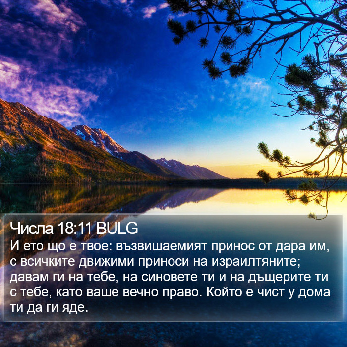 Числа 18:11 BULG Bible Study