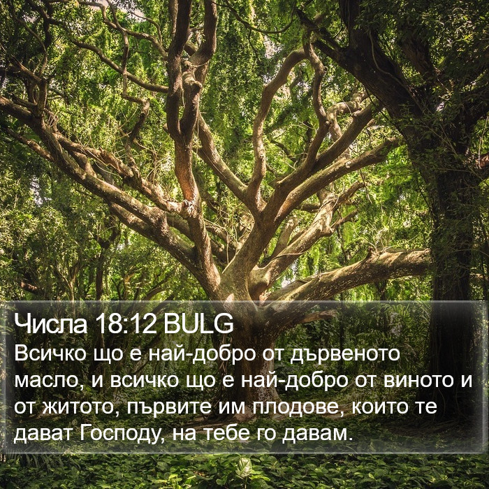 Числа 18:12 BULG Bible Study