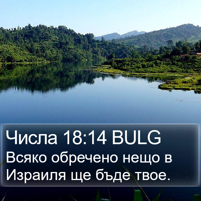 Числа 18:14 BULG Bible Study