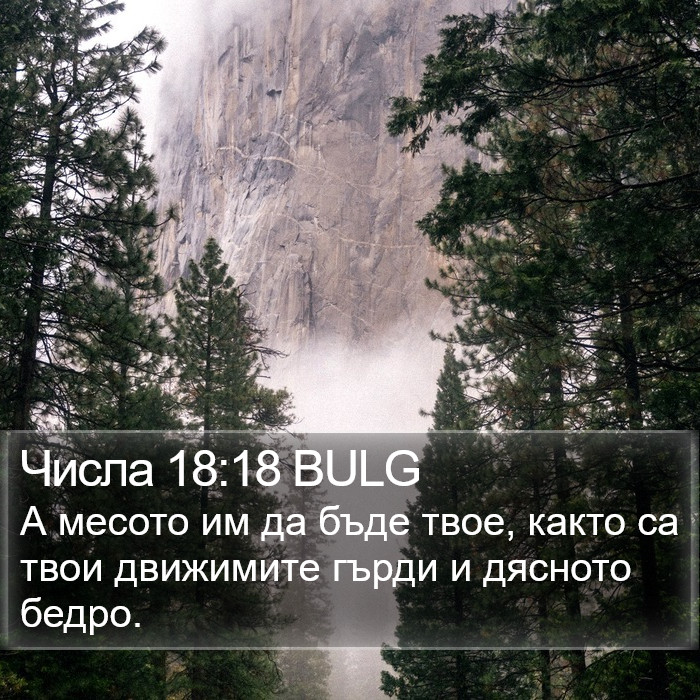 Числа 18:18 BULG Bible Study