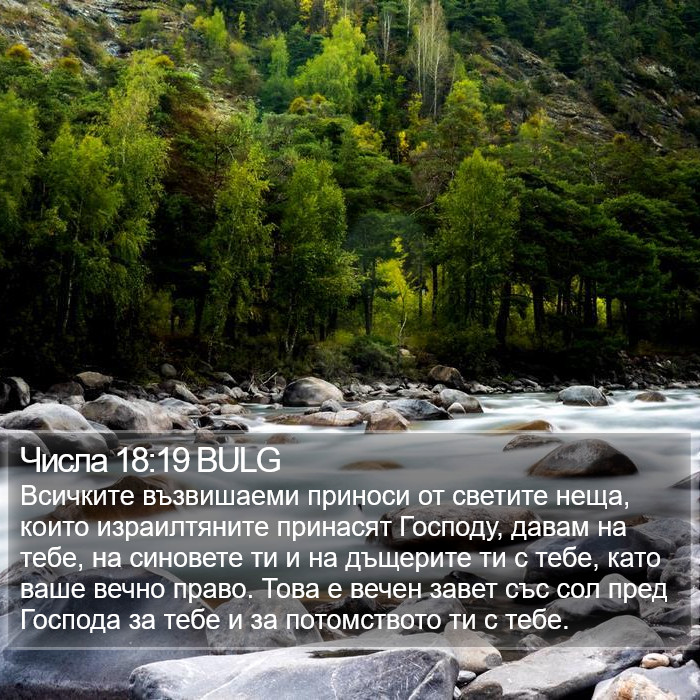 Числа 18:19 BULG Bible Study