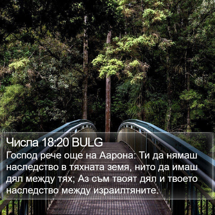 Числа 18:20 BULG Bible Study