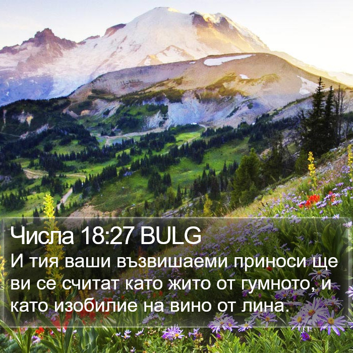 Числа 18:27 BULG Bible Study