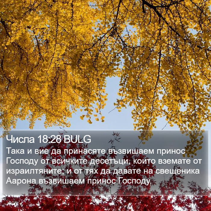 Числа 18:28 BULG Bible Study