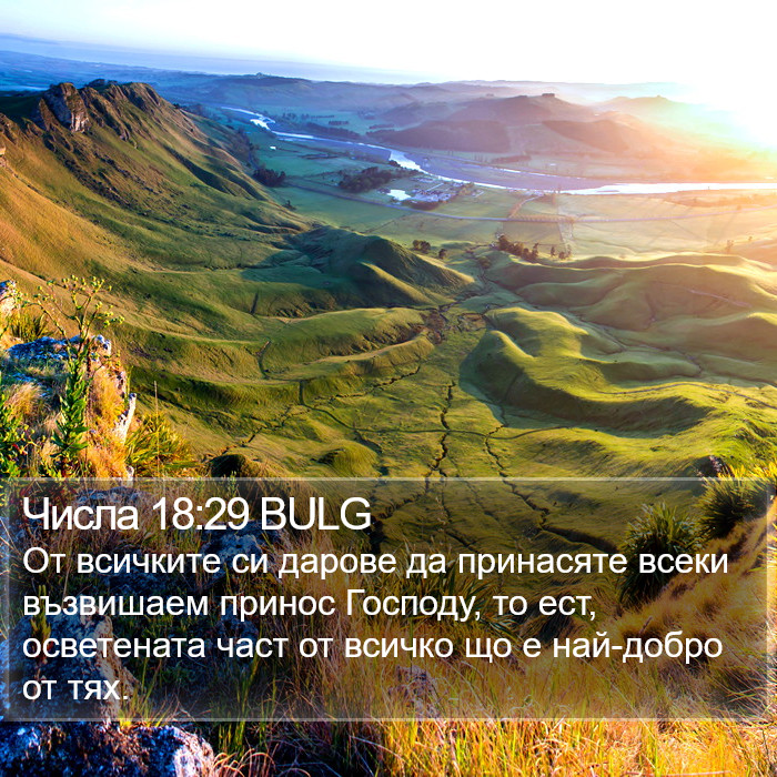 Числа 18:29 BULG Bible Study