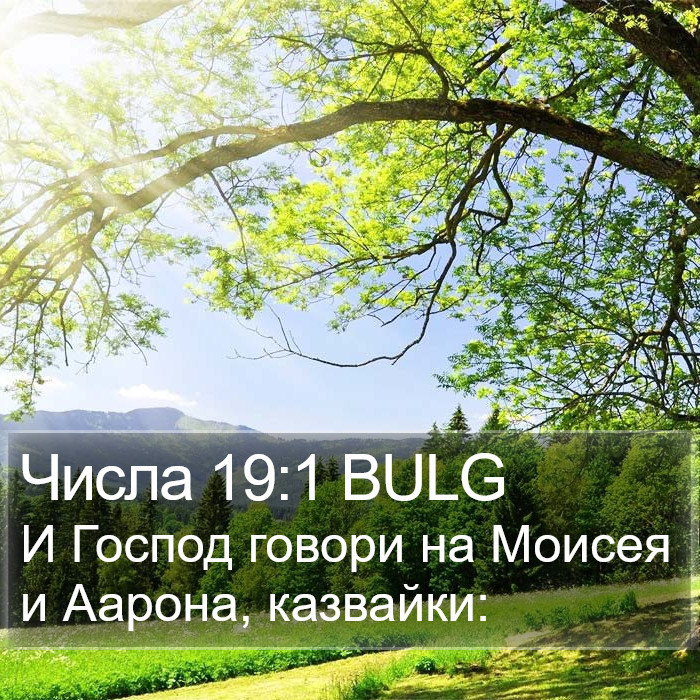 Числа 19:1 BULG Bible Study