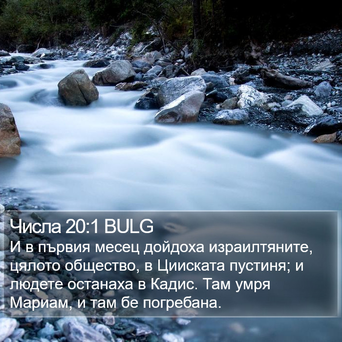 Числа 20:1 BULG Bible Study