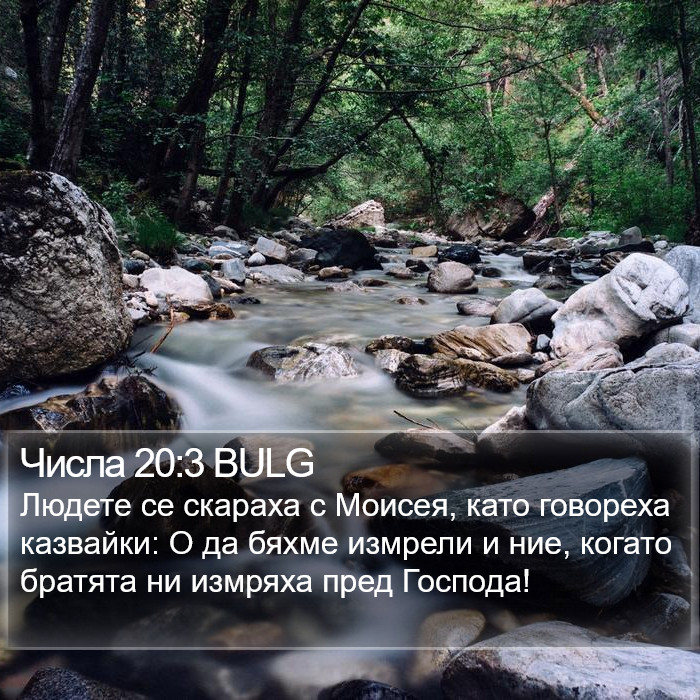 Числа 20:3 BULG Bible Study