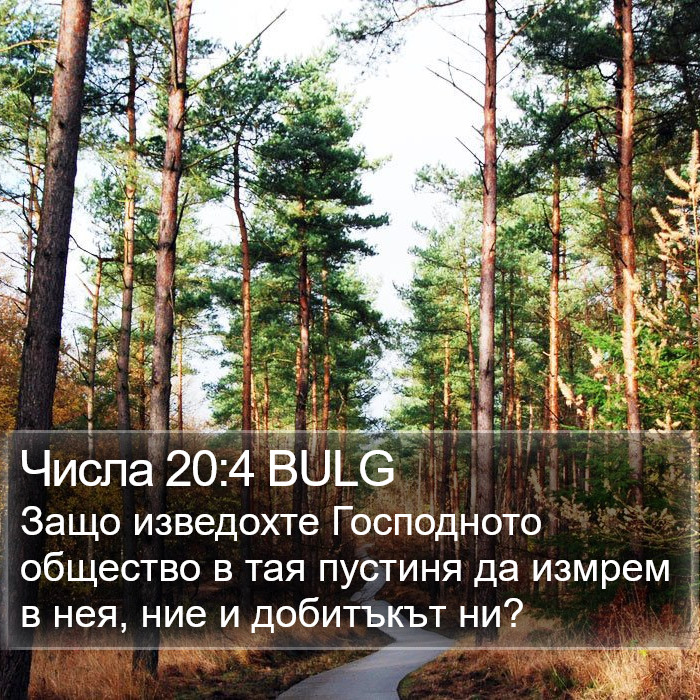 Числа 20:4 BULG Bible Study