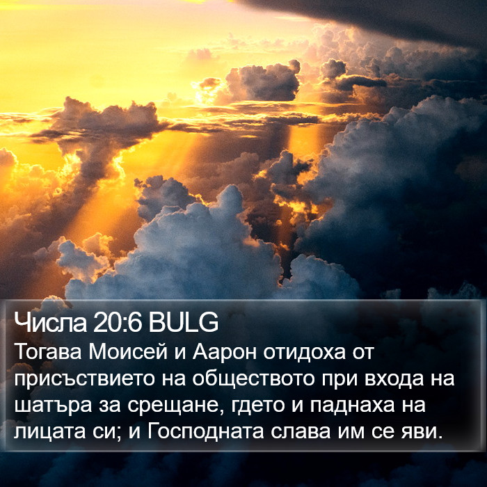 Числа 20:6 BULG Bible Study