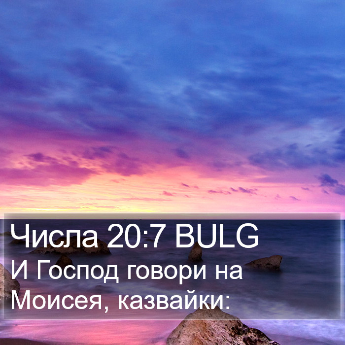 Числа 20:7 BULG Bible Study