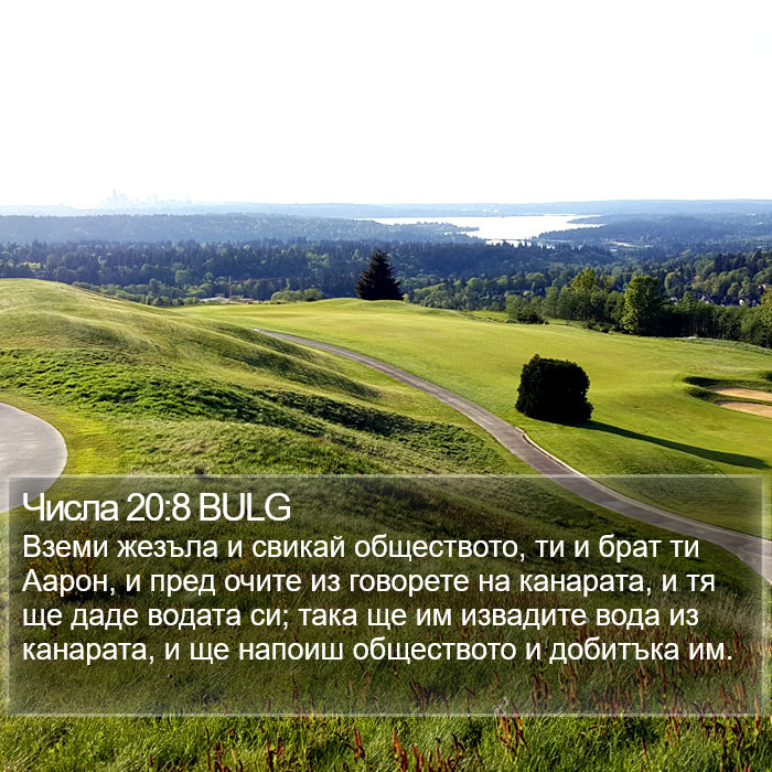 Числа 20:8 BULG Bible Study