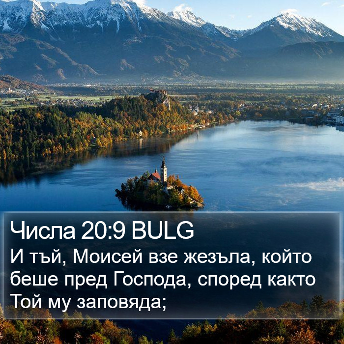 Числа 20:9 BULG Bible Study