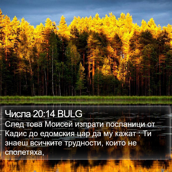 Числа 20:14 BULG Bible Study