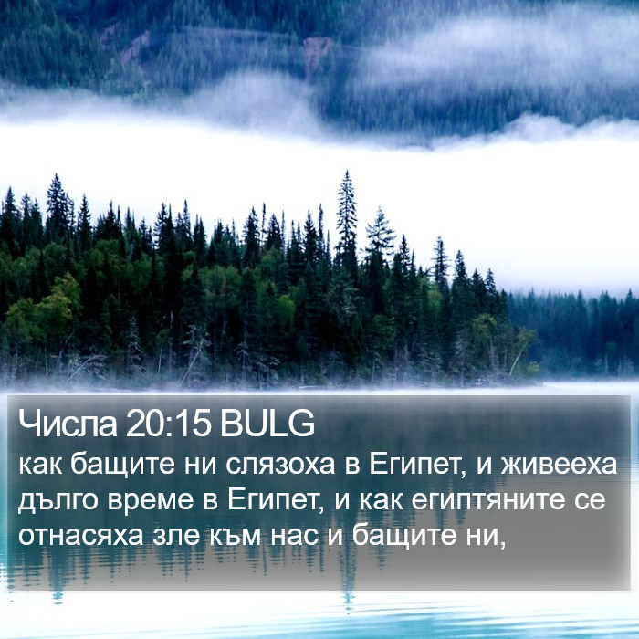 Числа 20:15 BULG Bible Study