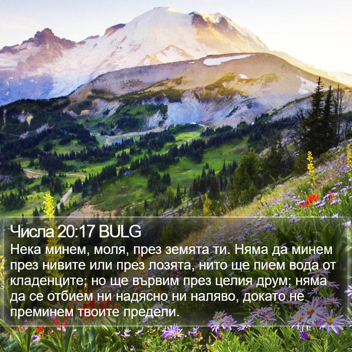 Числа 20:17 BULG Bible Study