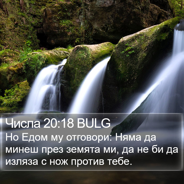 Числа 20:18 BULG Bible Study