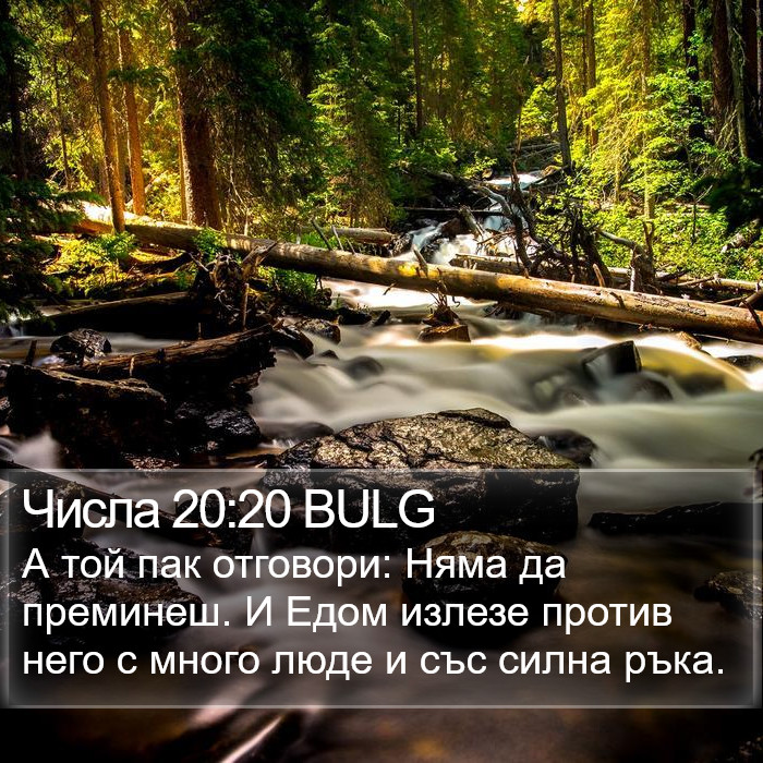 Числа 20:20 BULG Bible Study