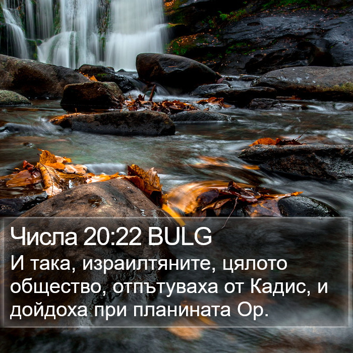 Числа 20:22 BULG Bible Study