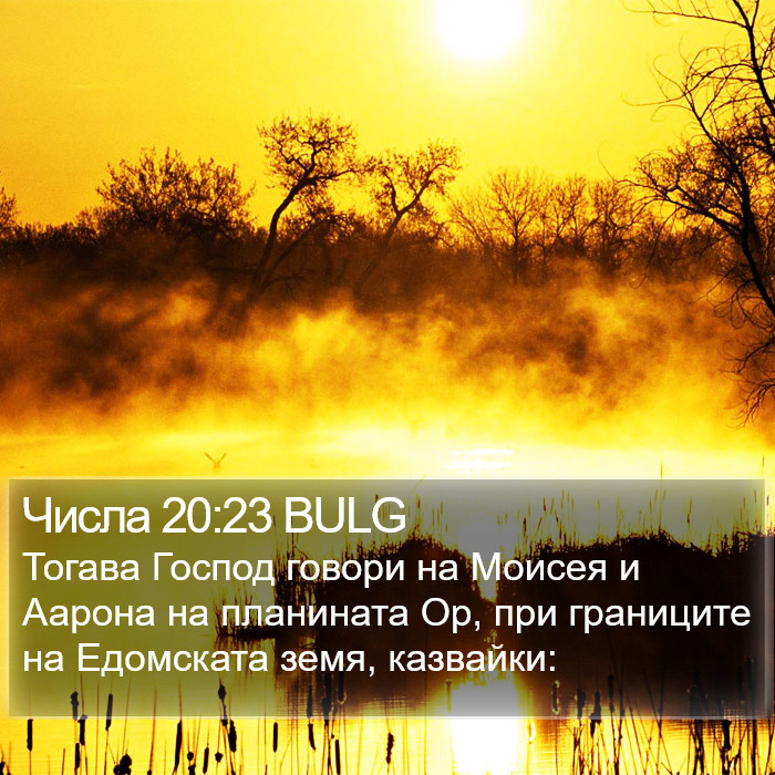 Числа 20:23 BULG Bible Study