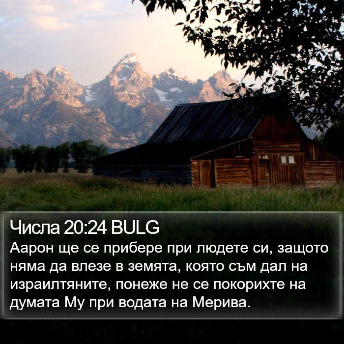 Числа 20:24 BULG Bible Study