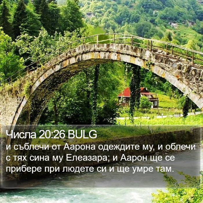 Числа 20:26 BULG Bible Study