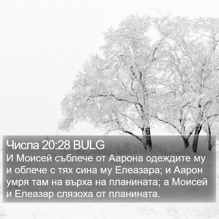 Числа 20:28 BULG Bible Study