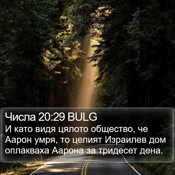 Числа 20:29 BULG Bible Study