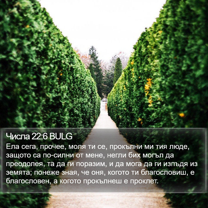 Числа 22:6 BULG Bible Study