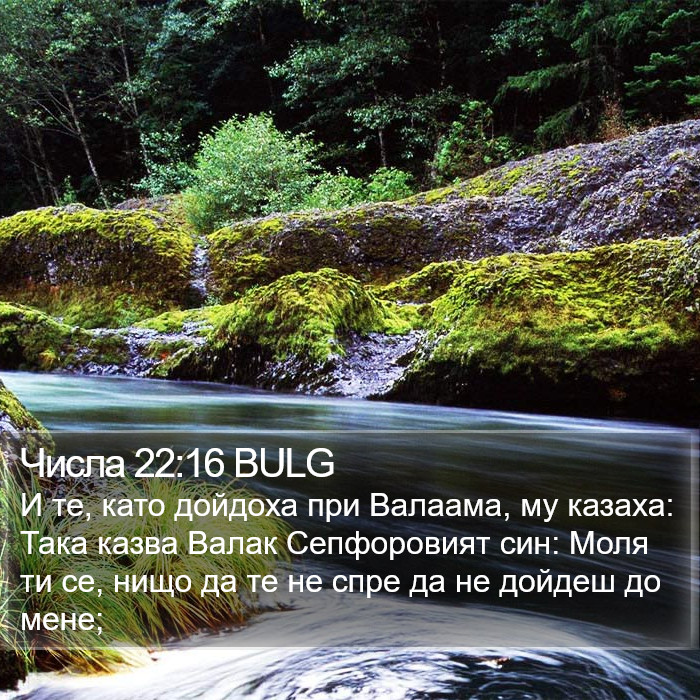 Числа 22:16 BULG Bible Study