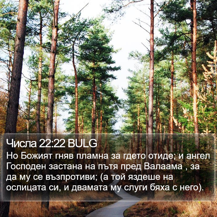 Числа 22:22 BULG Bible Study