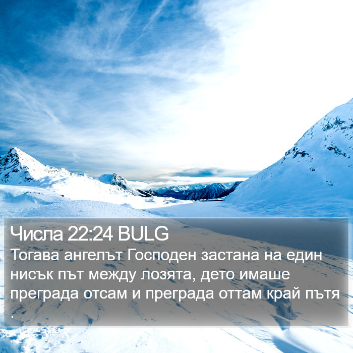 Числа 22:24 BULG Bible Study