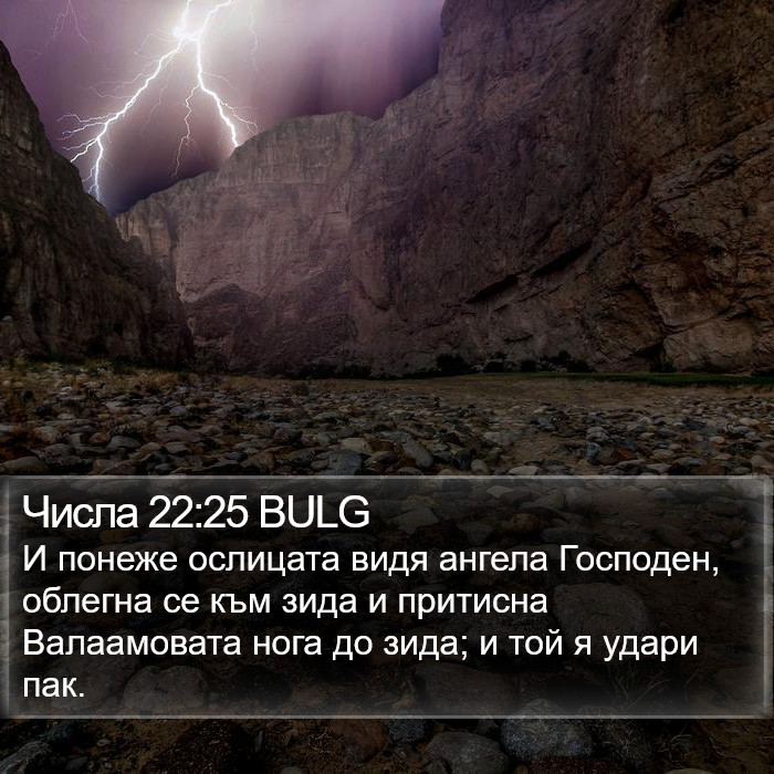 Числа 22:25 BULG Bible Study