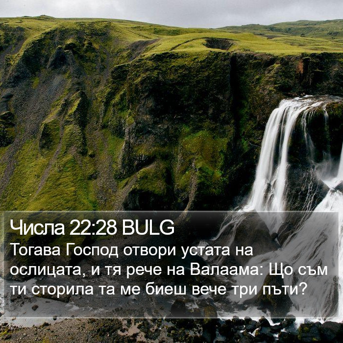 Числа 22:28 BULG Bible Study