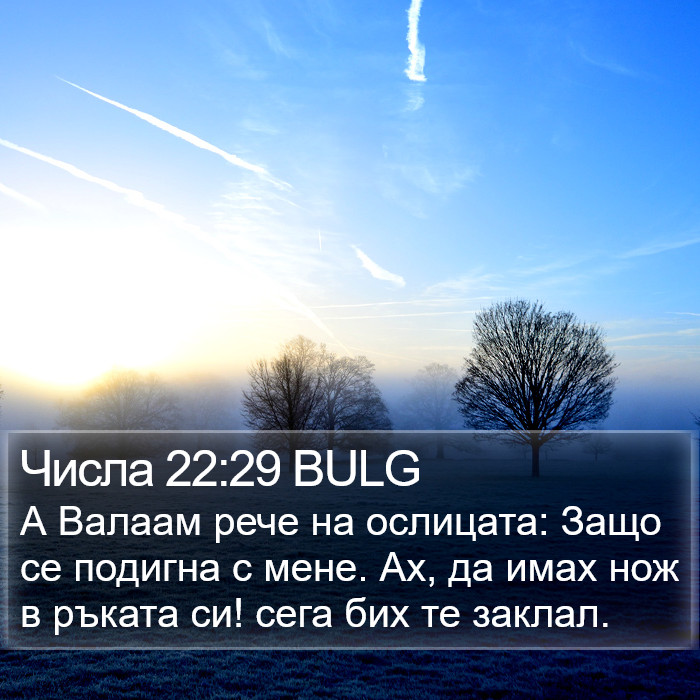 Числа 22:29 BULG Bible Study