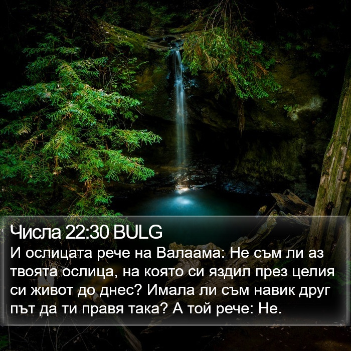 Числа 22:30 BULG Bible Study